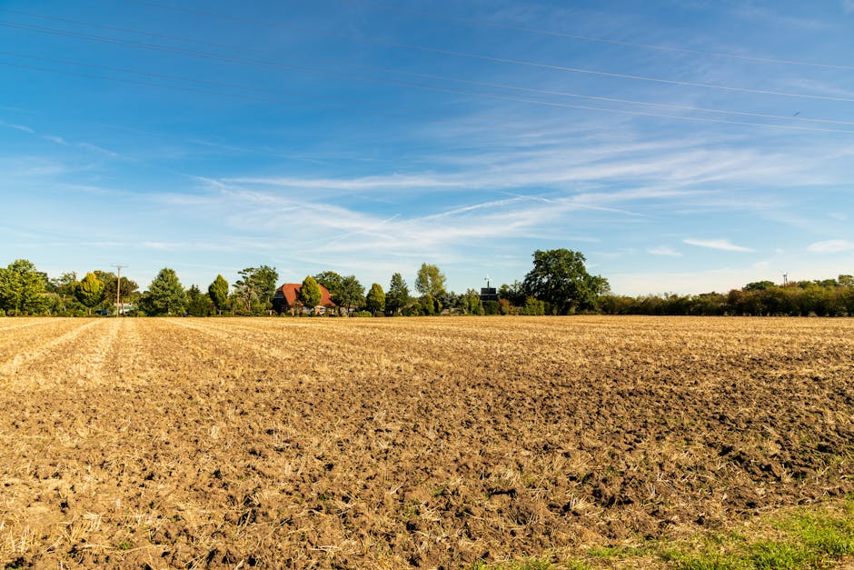 轉按優惠:輕鬆掌握更划算的房貸祕訣