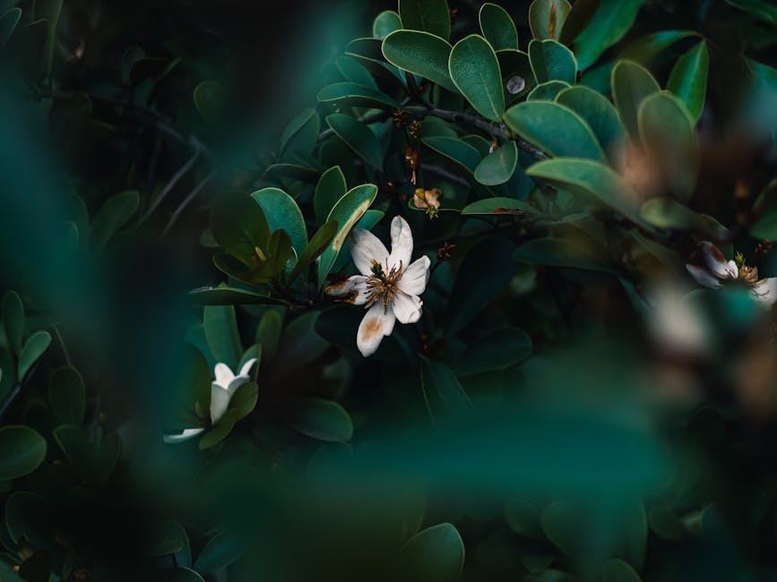 媽媽手治療:有效策略與康復指南